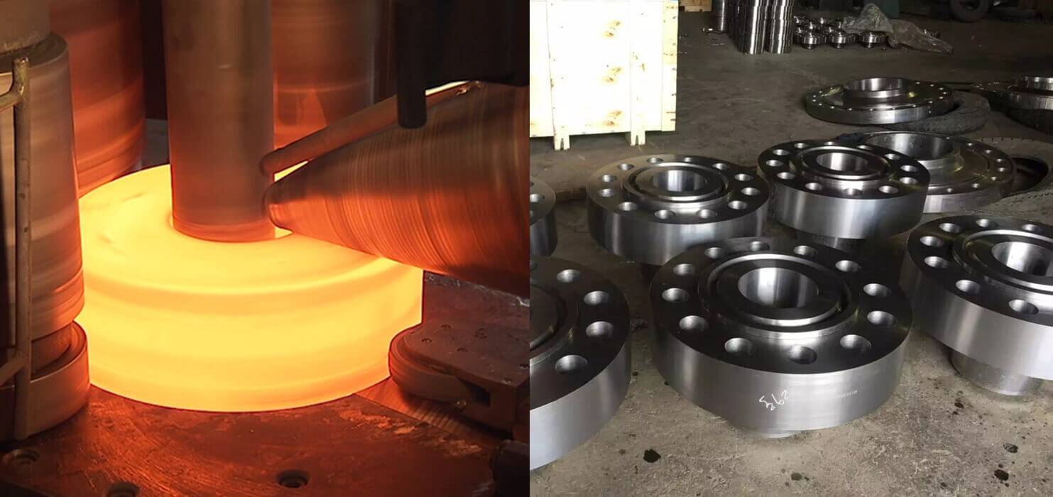 Hastelloy Flanges